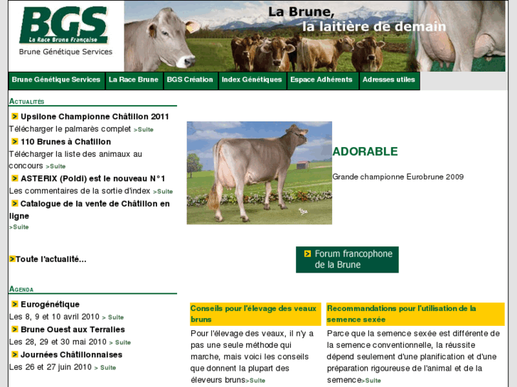 www.brune-genetique.com