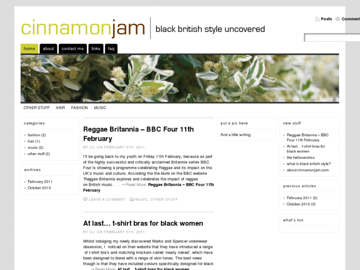 www.cinnamonjam.com