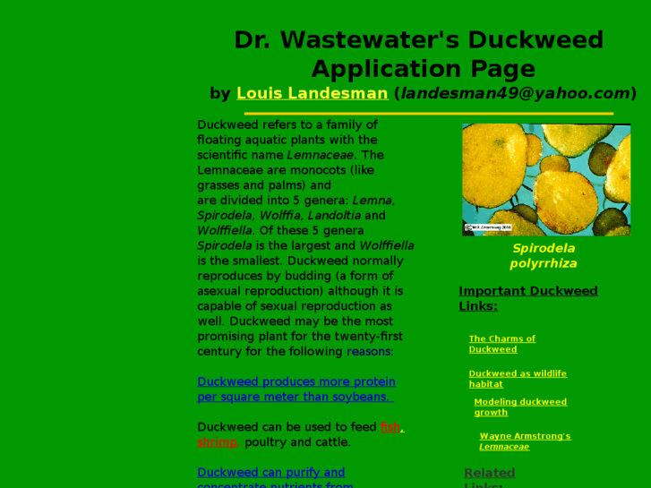 www.duckweed49.com