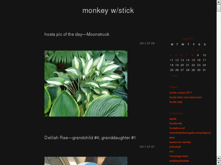 www.monkeywithstick.com