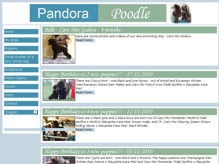 www.pandorapoodle.com