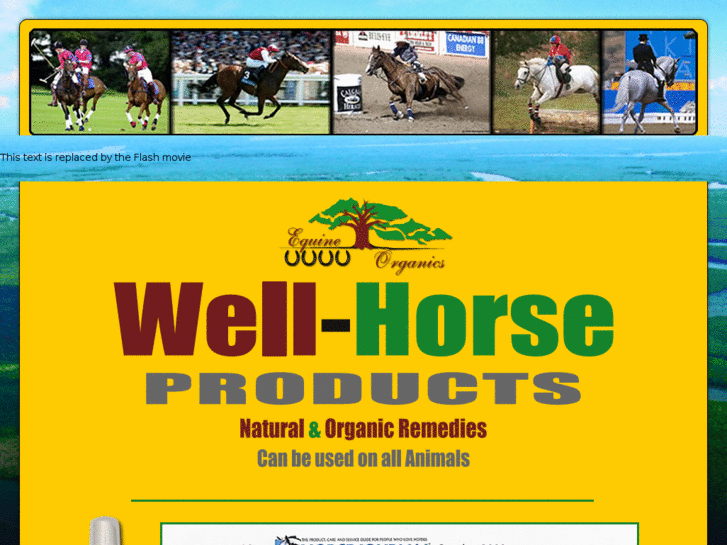 www.well-horse.com