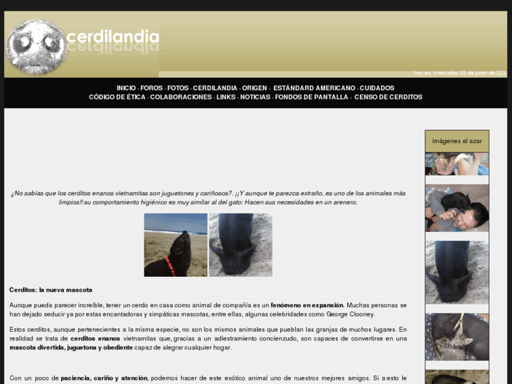 www.cerdilandia.com