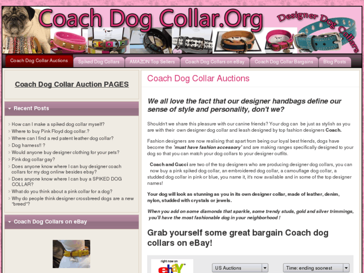 www.coachdogcollar.org