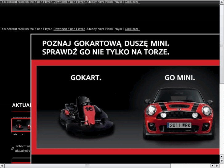 www.gokartypoznan.pl