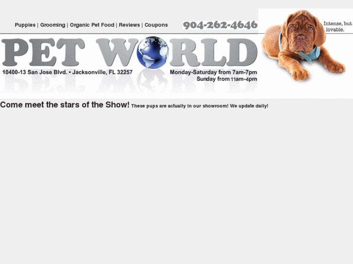 www.petworldpets.com