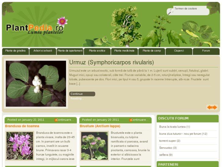 www.plantpedia.ro