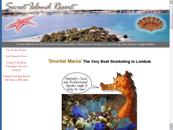 www.snorkelmanialombok.com