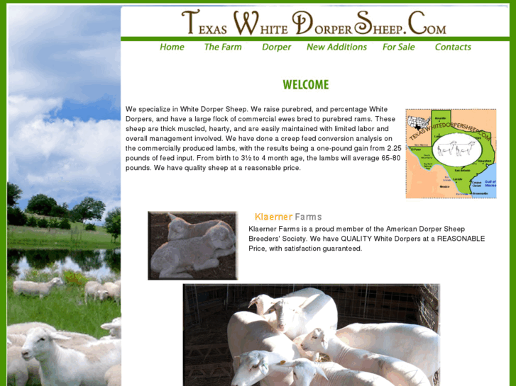 www.texaswhitedorpersheep.com