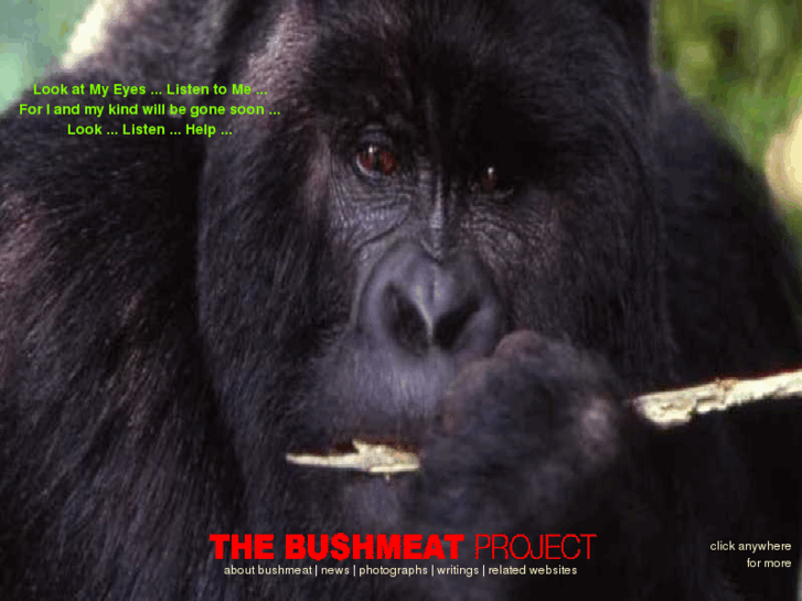 www.bushmeat.net