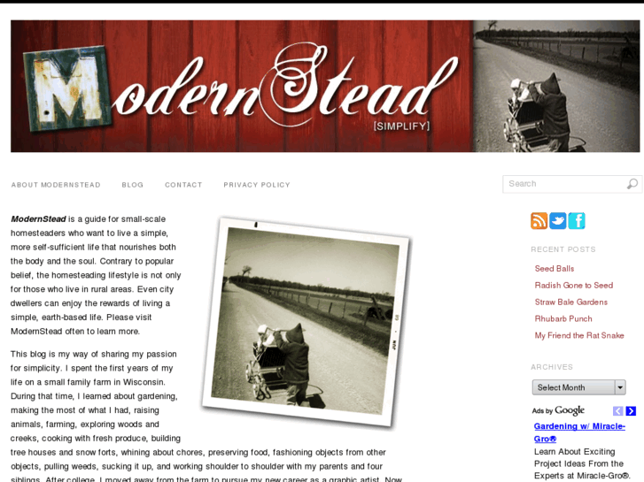 www.modernstead.com