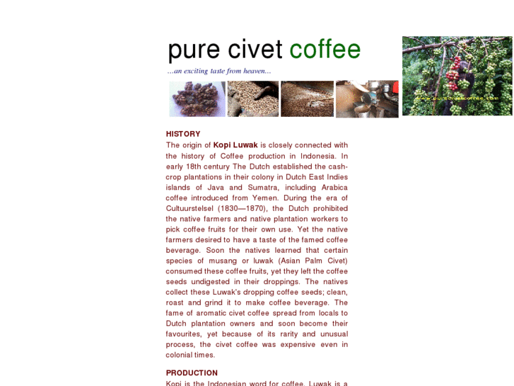 www.purecivetcoffee.com