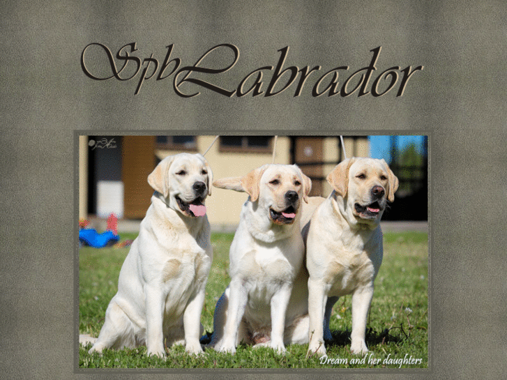 www.spb-labrador.ru