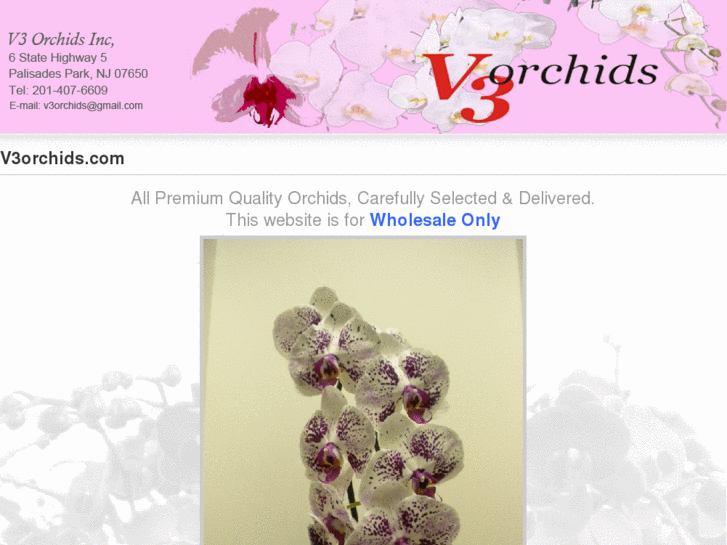 www.v3orchids.com