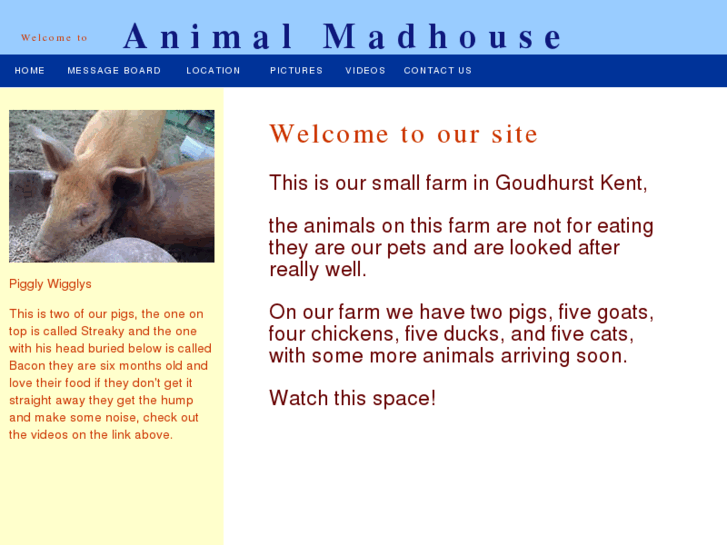 www.animalmadhouse.com