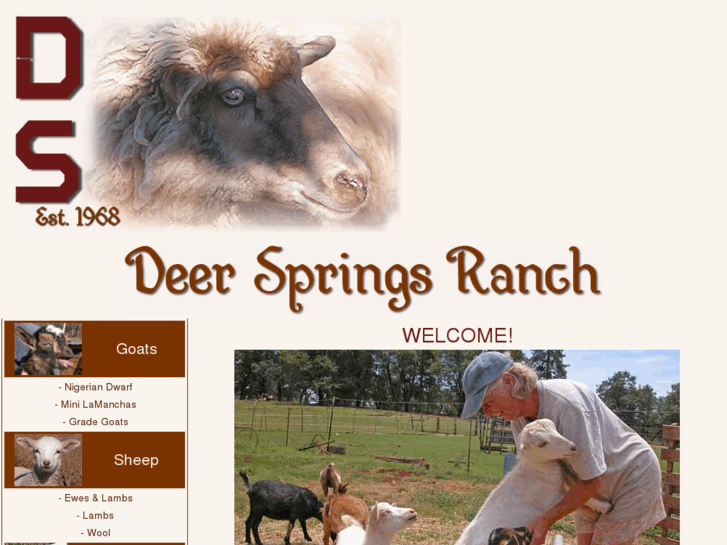 www.deersprings.net