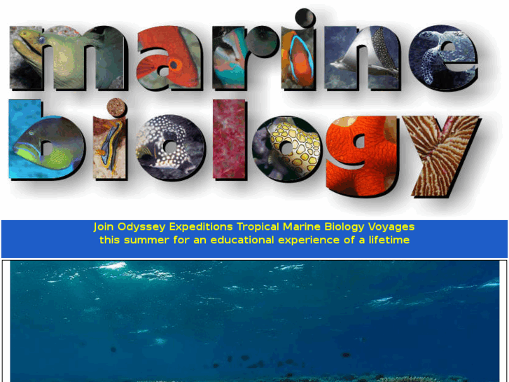 www.marinebiology.org