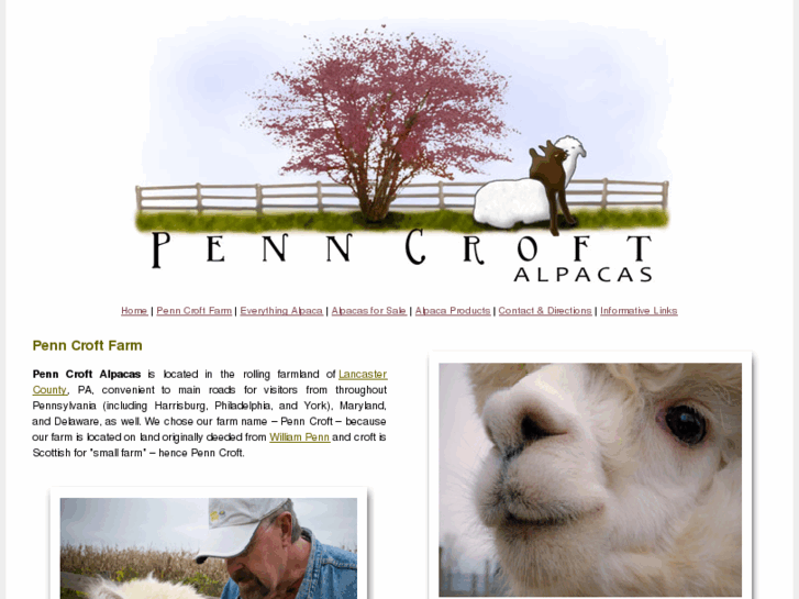 www.penncroftalpacas.com