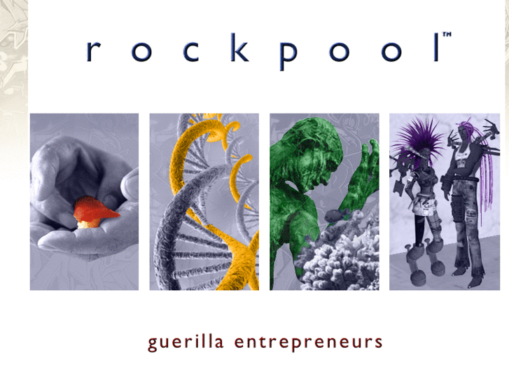 www.rockpoolenterprises.com