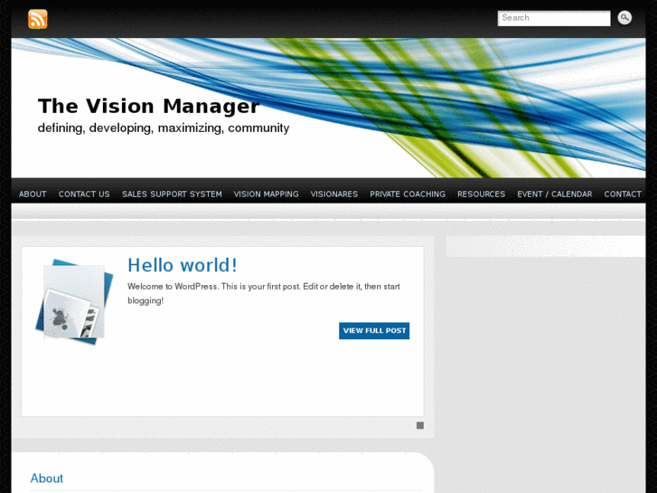 www.thevisionmanager.com