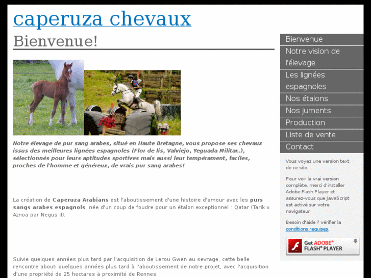 www.caperuza-arabians.com