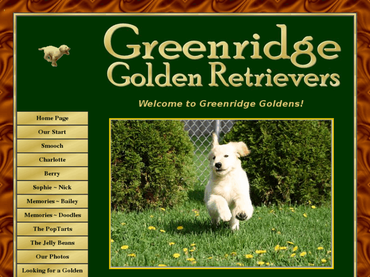 www.greenridgegoldens.com