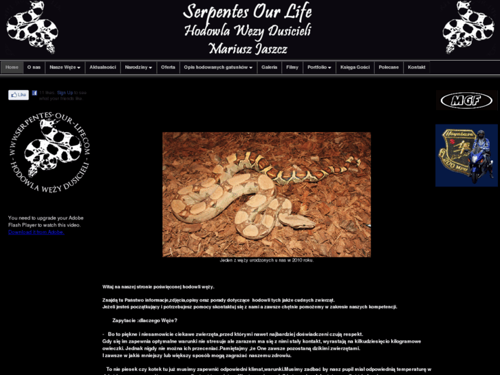 www.serpentes-our-life.com