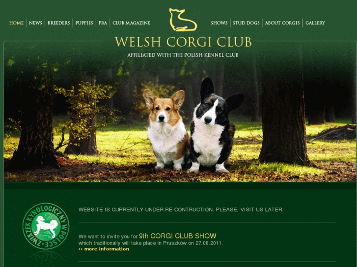 www.welshcorgiklub.pl