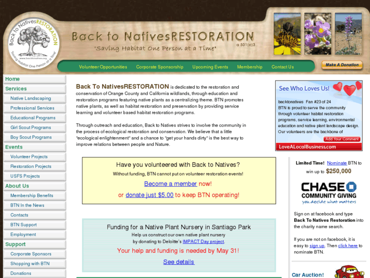 www.backtonative.net
