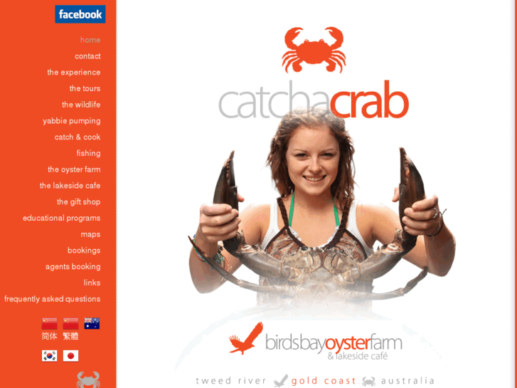 www.catchacrab.com