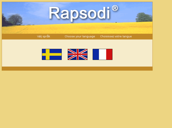 www.rapsodi.se