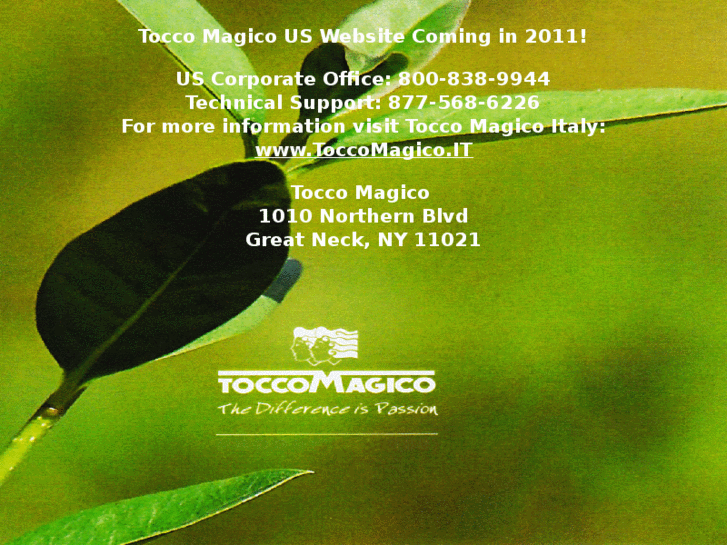 www.toccomagicous.com