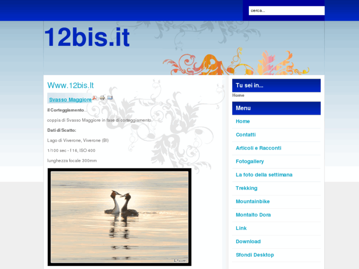 www.12bis.it