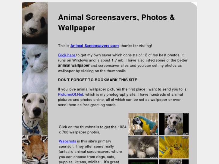 www.animalscreensavers.com