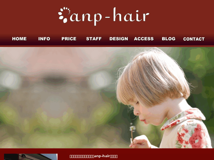 www.anp-hair.com