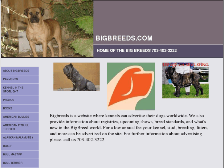 www.bigbreeds.com