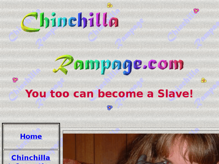 www.chinchillarampage.com