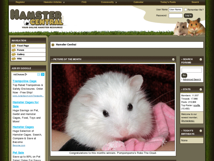 www.hamstercentral.com