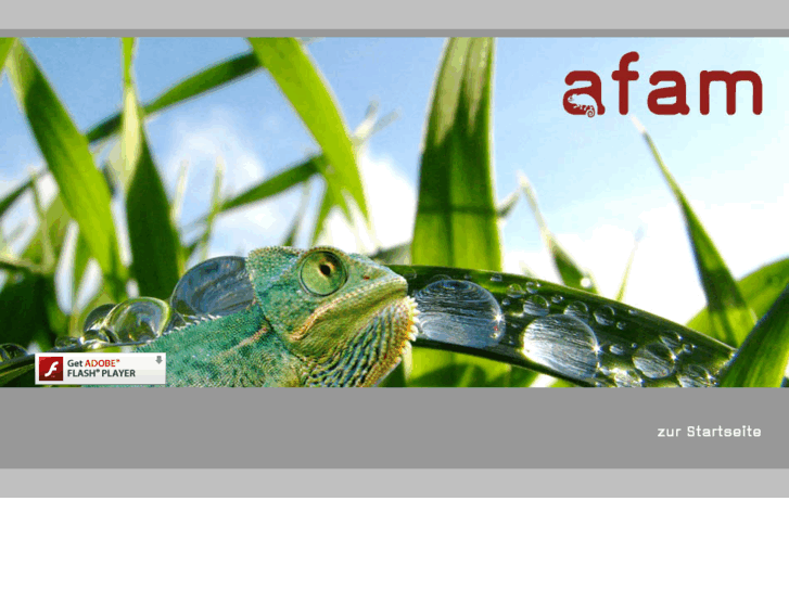 www.afam.de