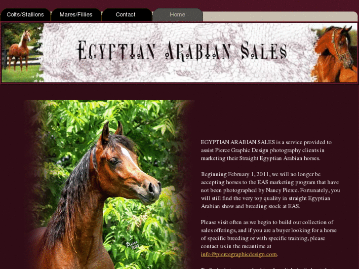 www.egyptianarabiansales.com