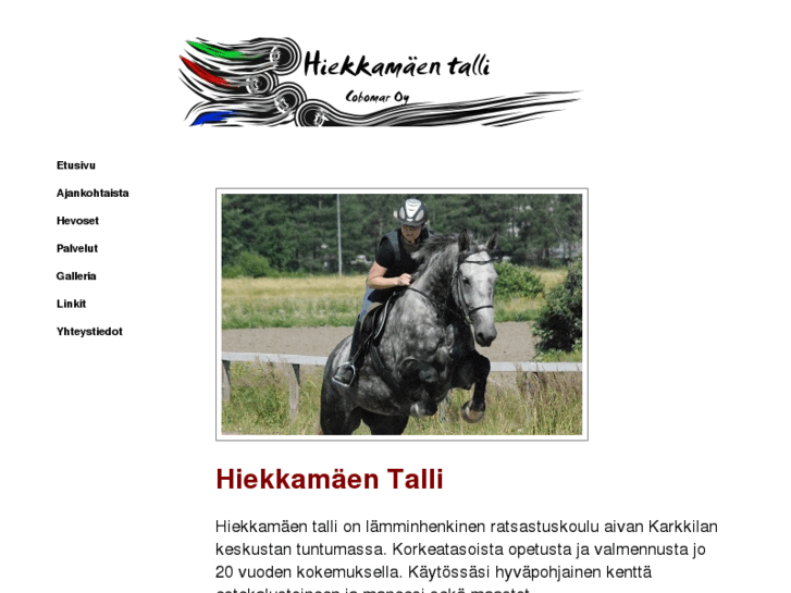 www.hiekkamaentalli.com