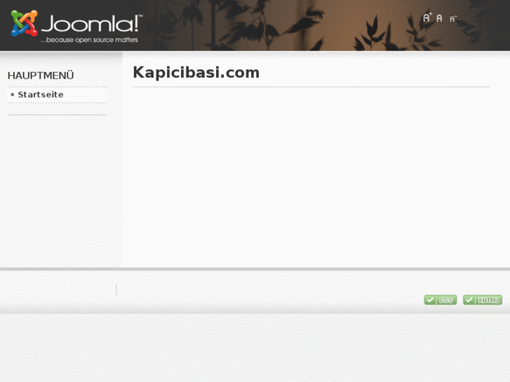 www.kapicibasi.com