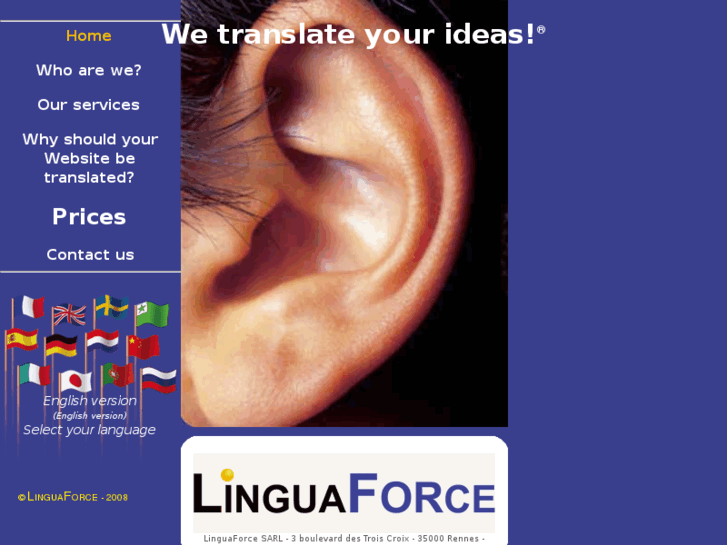 www.linguaflash.com