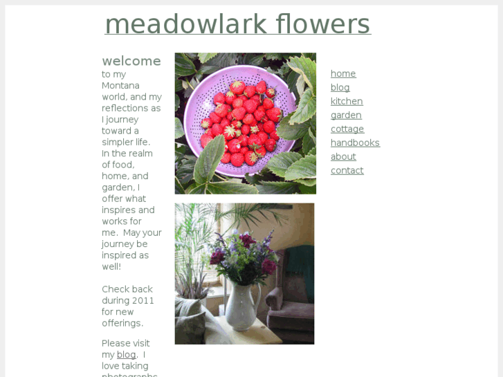 www.meadowlarkflowers.com