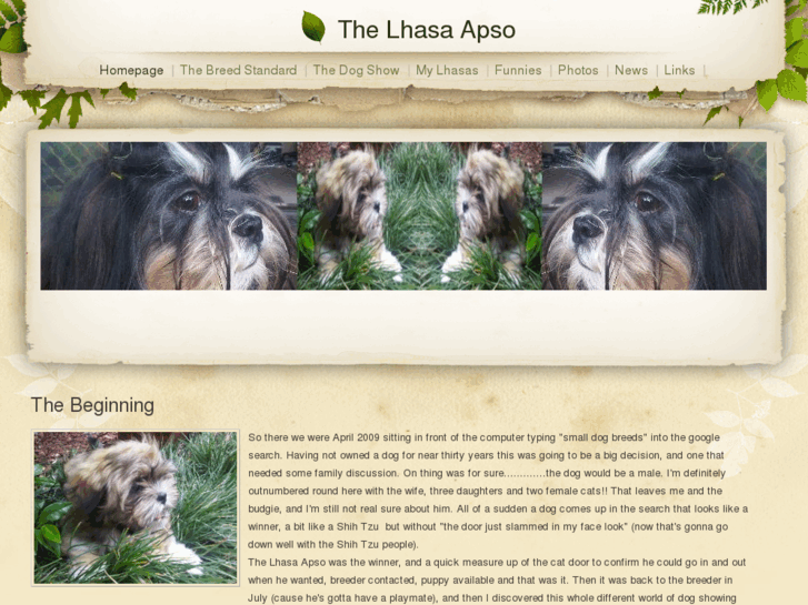 www.mylhasa.com