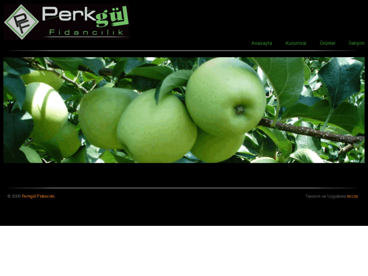 www.perkgulfidan.com