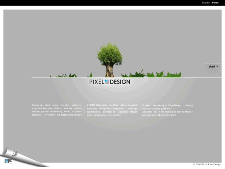 www.pixel-design.pl