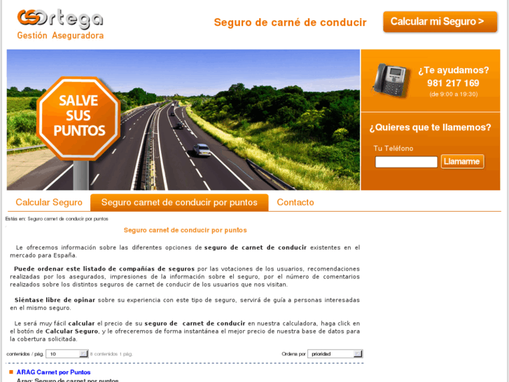 www.segurocarnetdeconducir.es