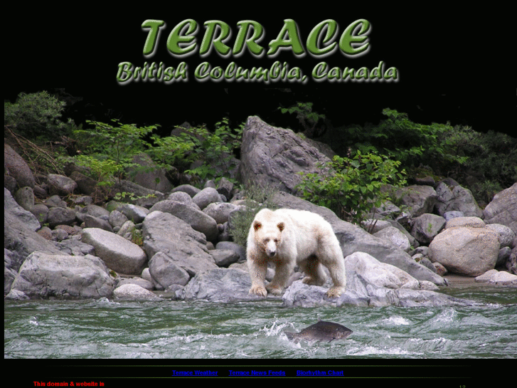 www.terracebc.ca