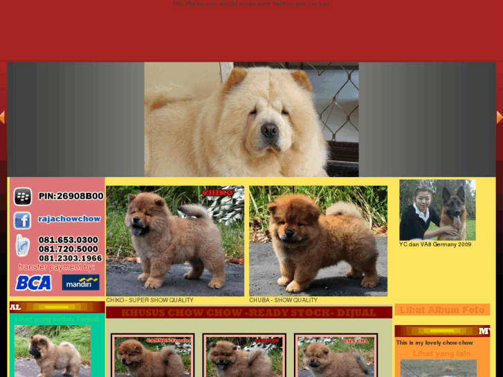 www.agnew-chowchow.com